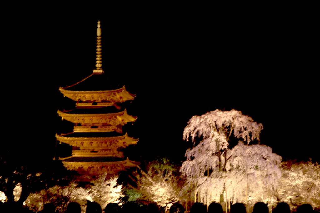 東寺ライトアップ