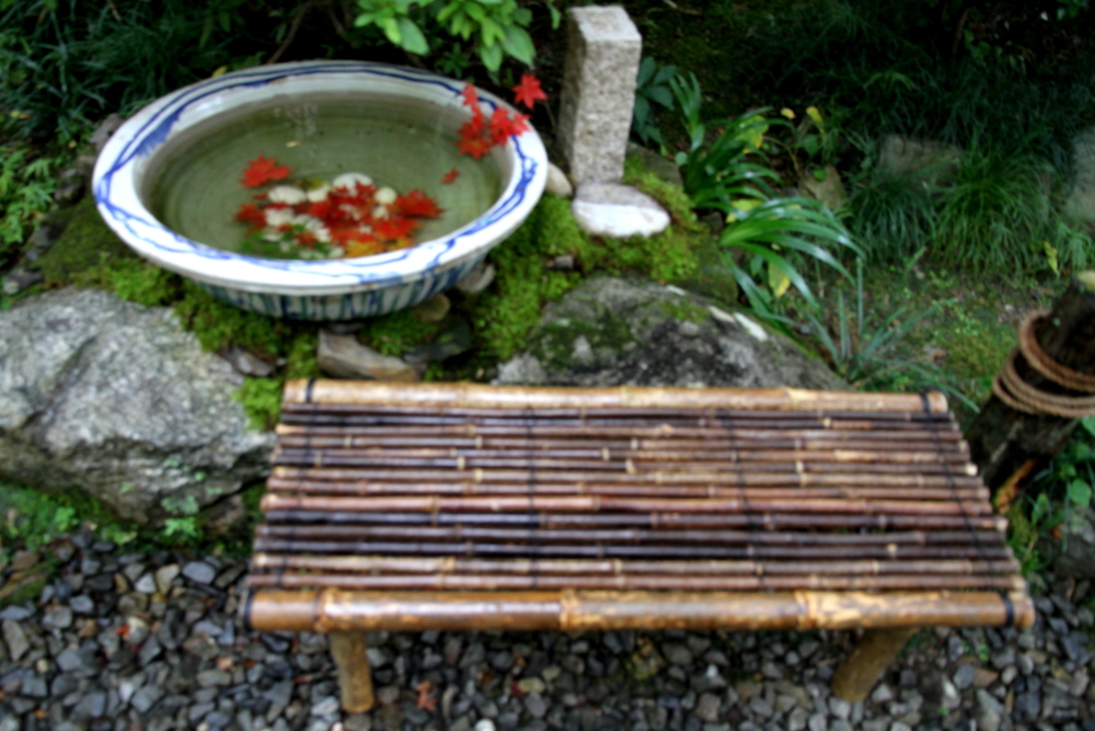 水桶の紅を観ながら
