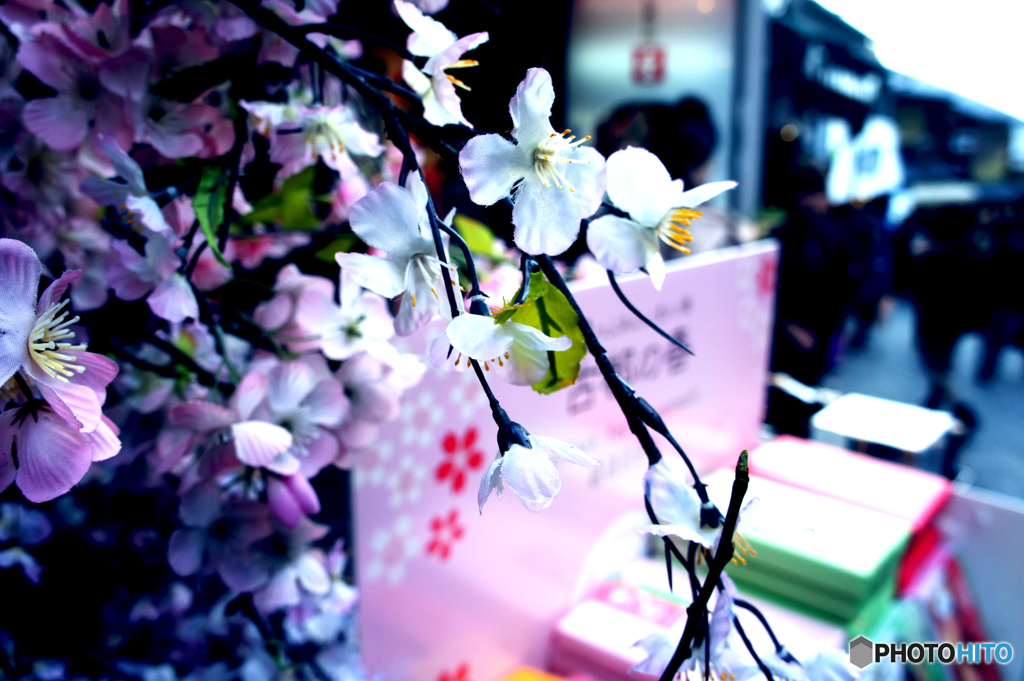 開花