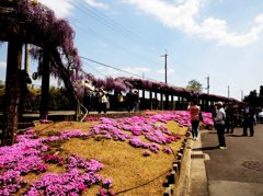 京都鳥羽下水処理場