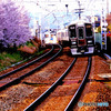 電車と桜