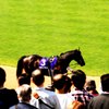 競走馬