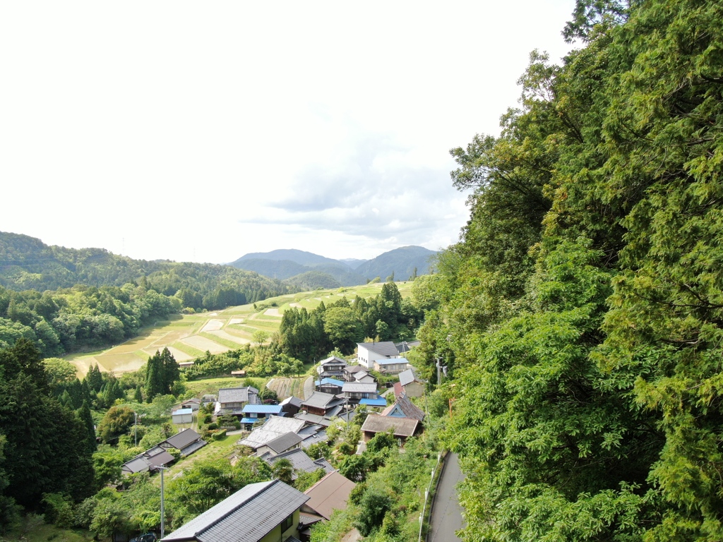 京の山村