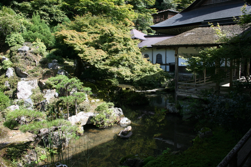 常照皇寺