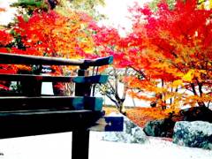 庭園と紅葉