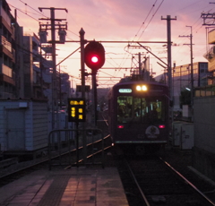 夕日を浴びて