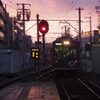 夕日を浴びて