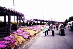 京都鳥羽下水処理場