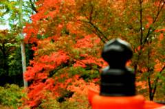 神社の紅