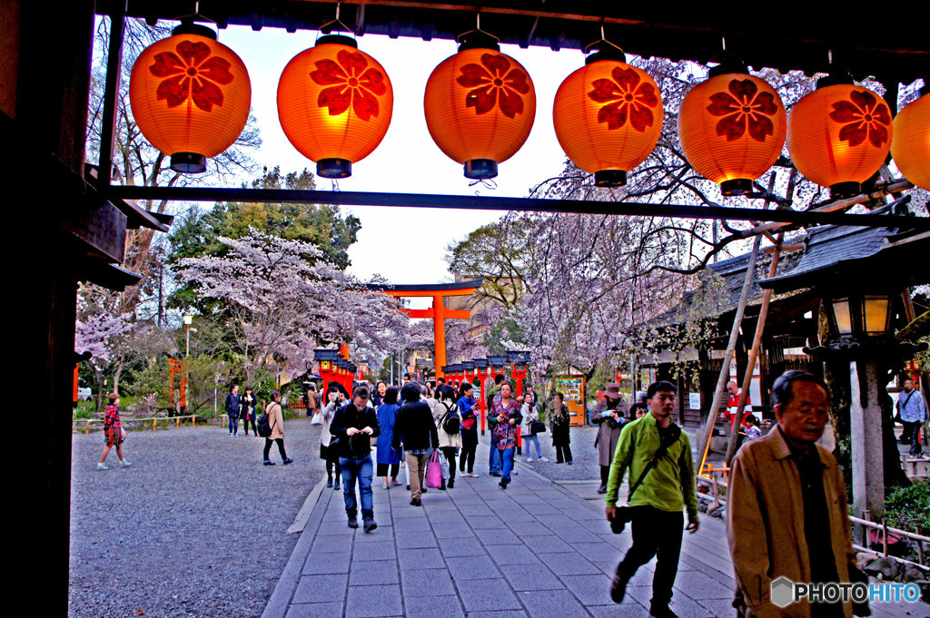 桜まつり