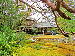 日本庭園