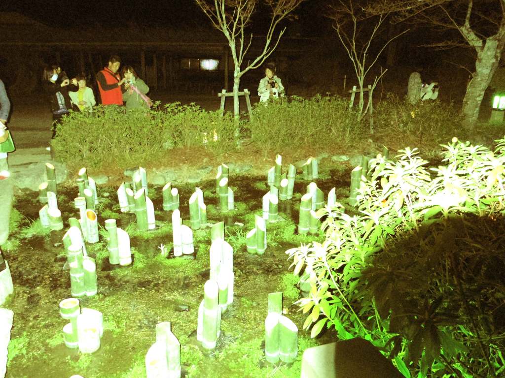 京都花灯路丸山公園