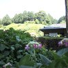 お茶屋発見