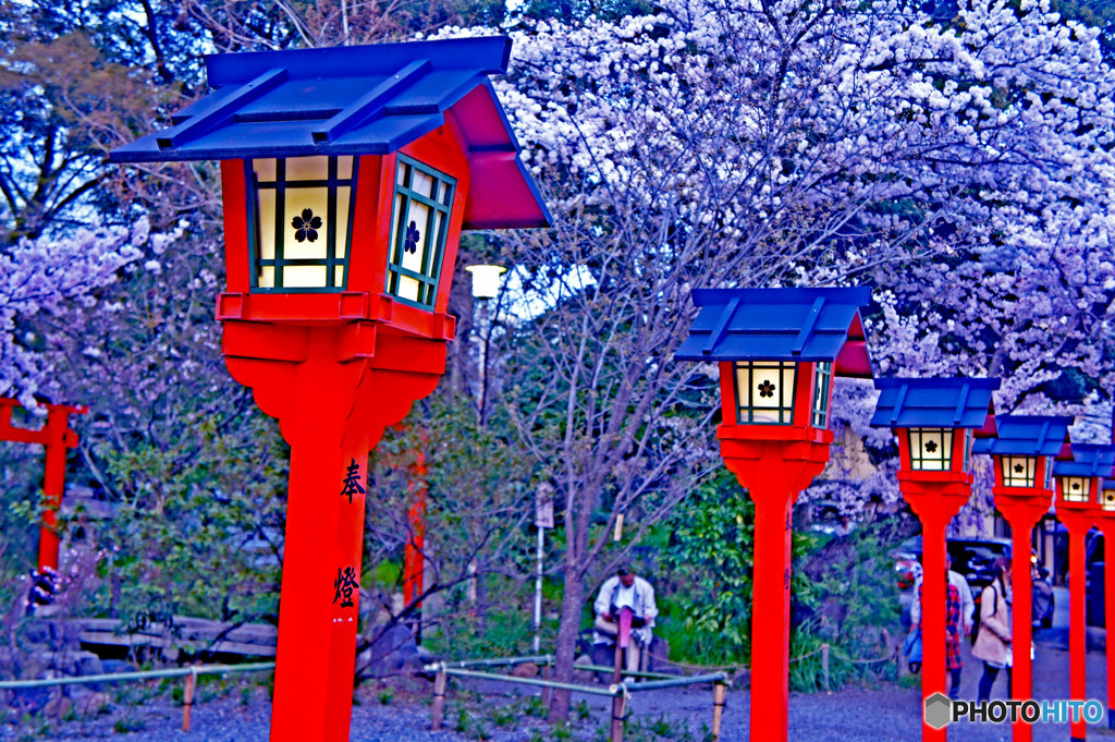 桜まつり