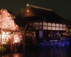 夜桜コンサート