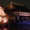 夜桜コンサート