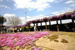 京都鳥羽下水処理場