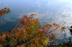 湖面と紅葉