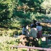 勝竜寺公園後で散歩