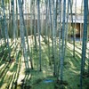 竹提の明り
