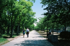 道