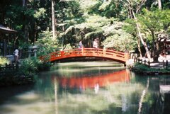 小国神社の紅