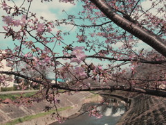せせらぎ