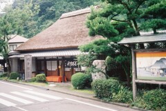 夏休みの蝉時雨