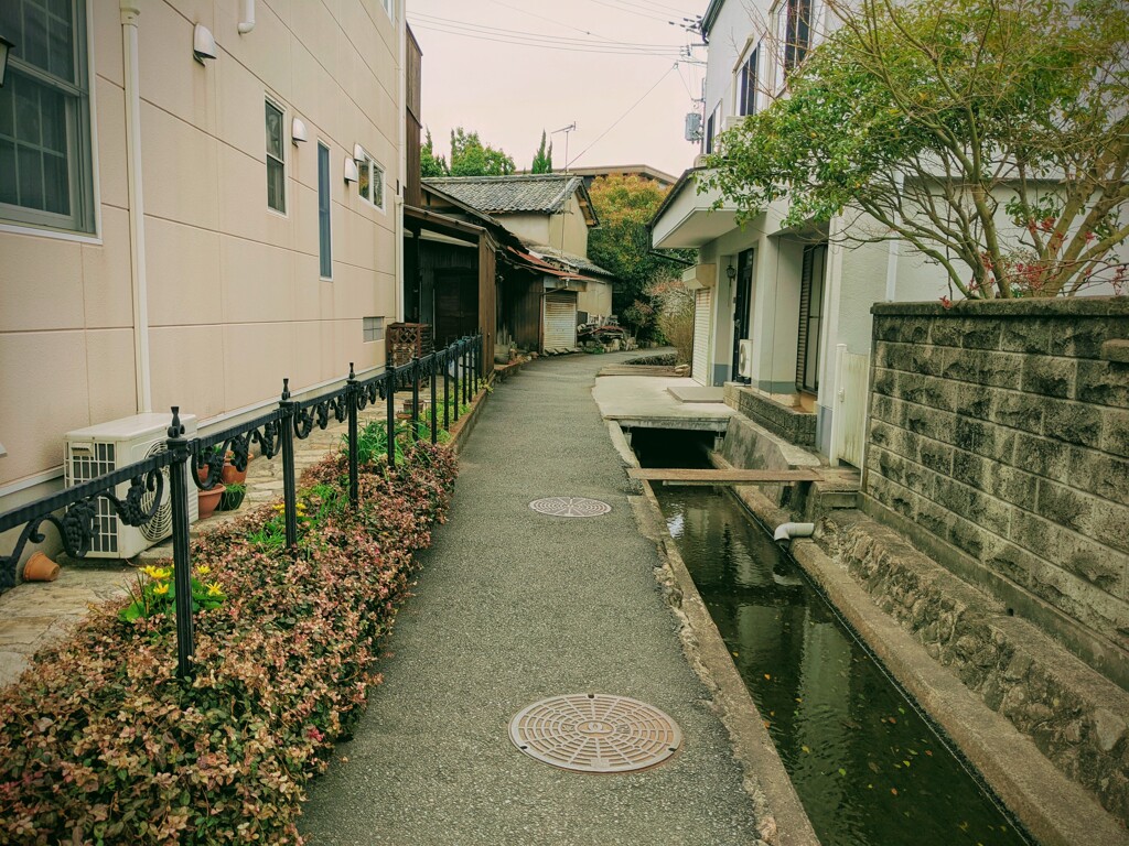 水巡風景