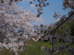 ことしの青空