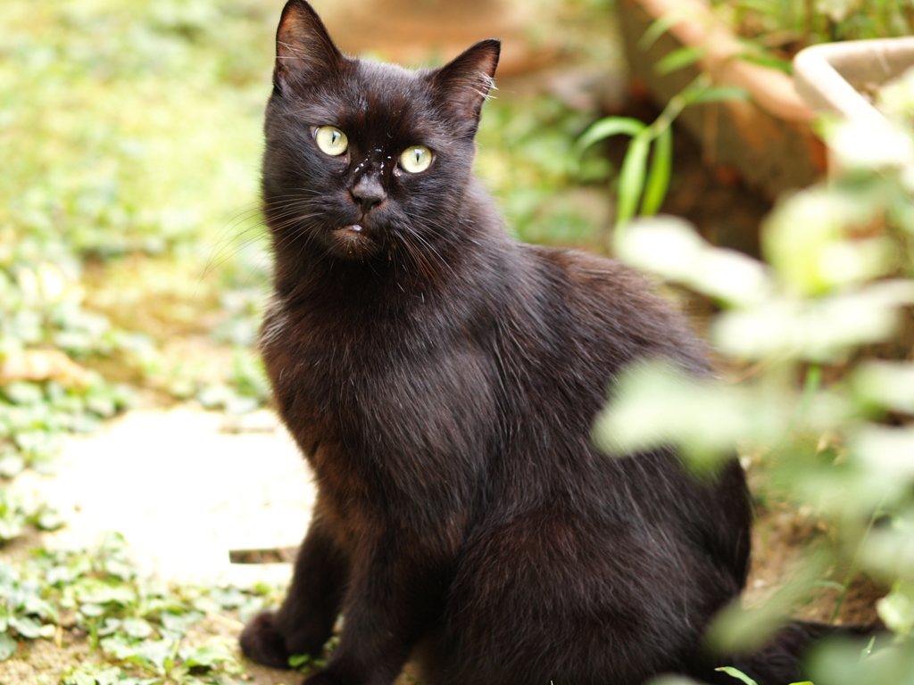 ちょっと汚してきました。