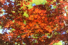 それでも空は・・・・。