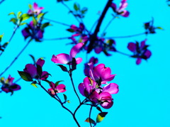 saturday in blue