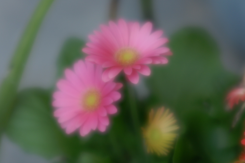 彩暦