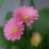 彩暦