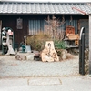 武家屋敷群 たのし屋