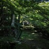 寒蝉鳴