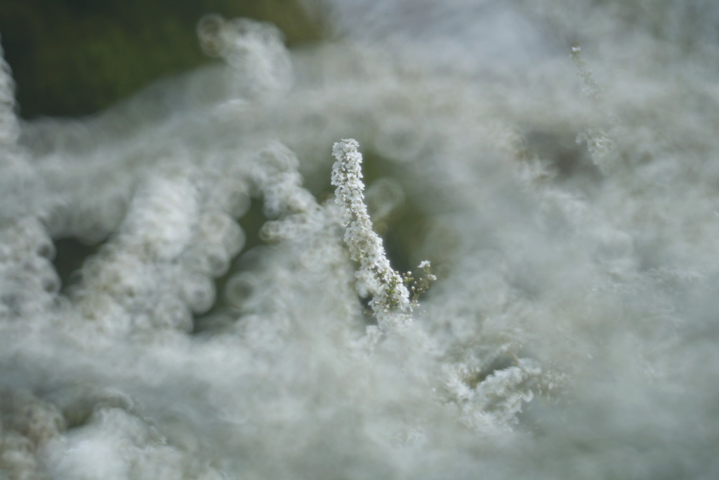 white‐collarな午後