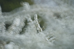 white‐collarな午後