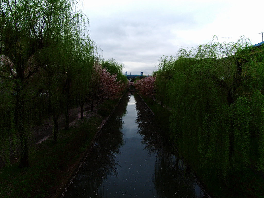 京橋あたり