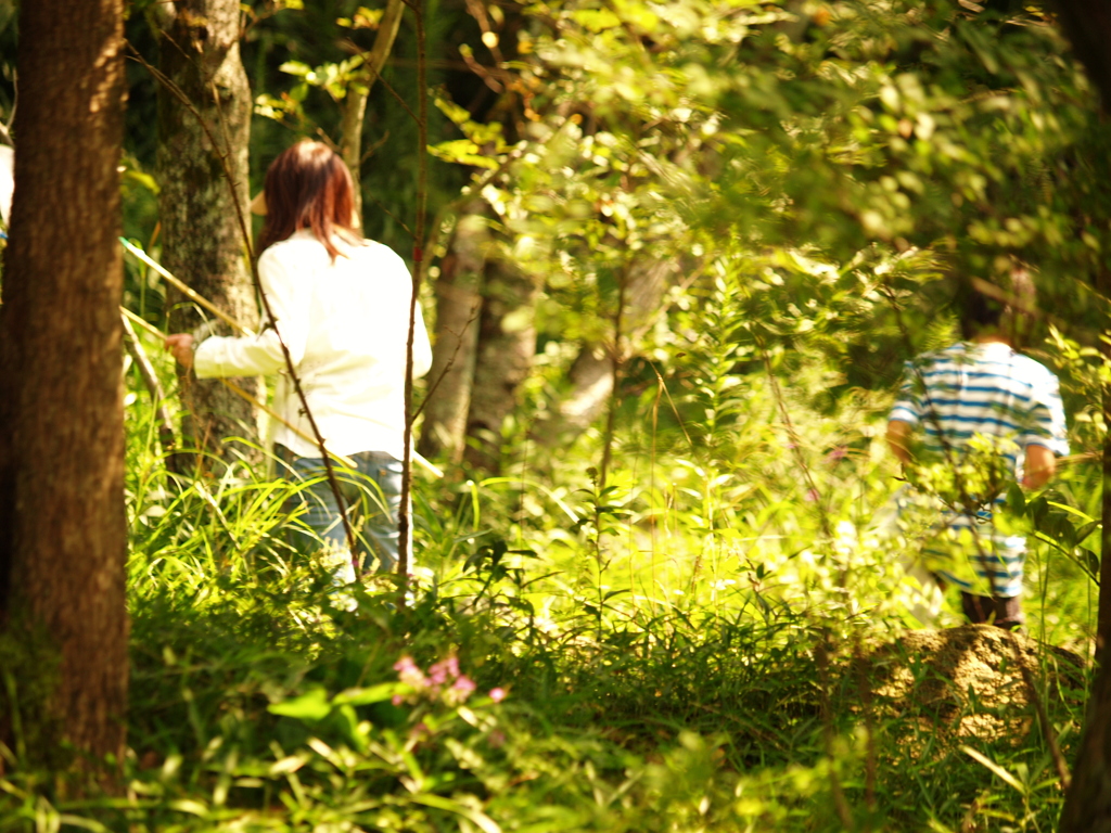 好奇なひととき