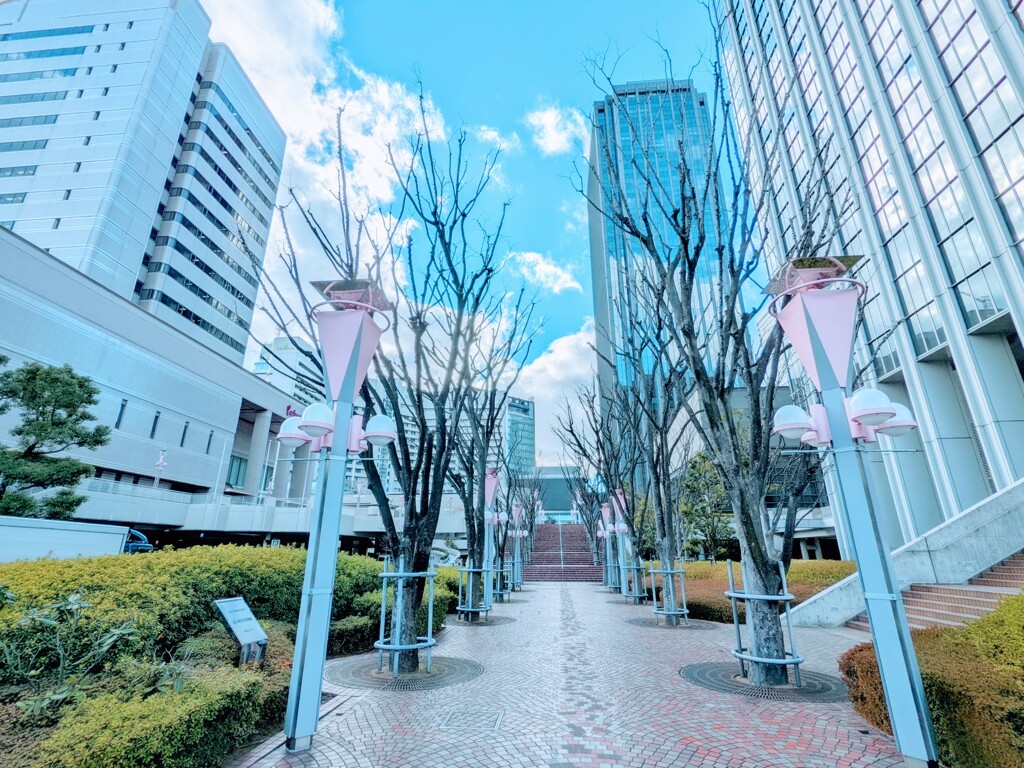 透明なビルディング