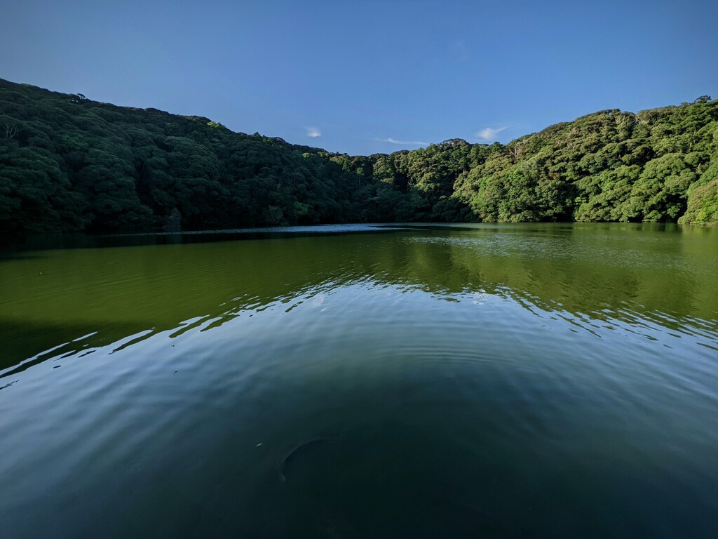 桜ヶ池