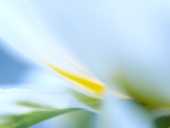 地上の三日月 地上の三日月