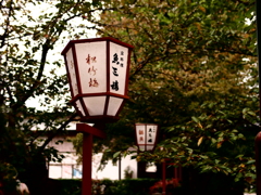 情緒