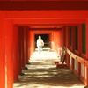 西陽の陽炎