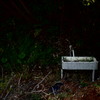 トイレは外