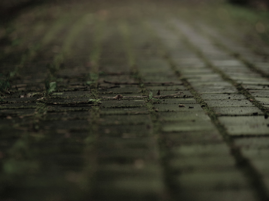 Road