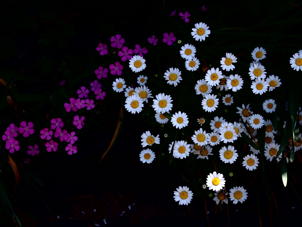 花