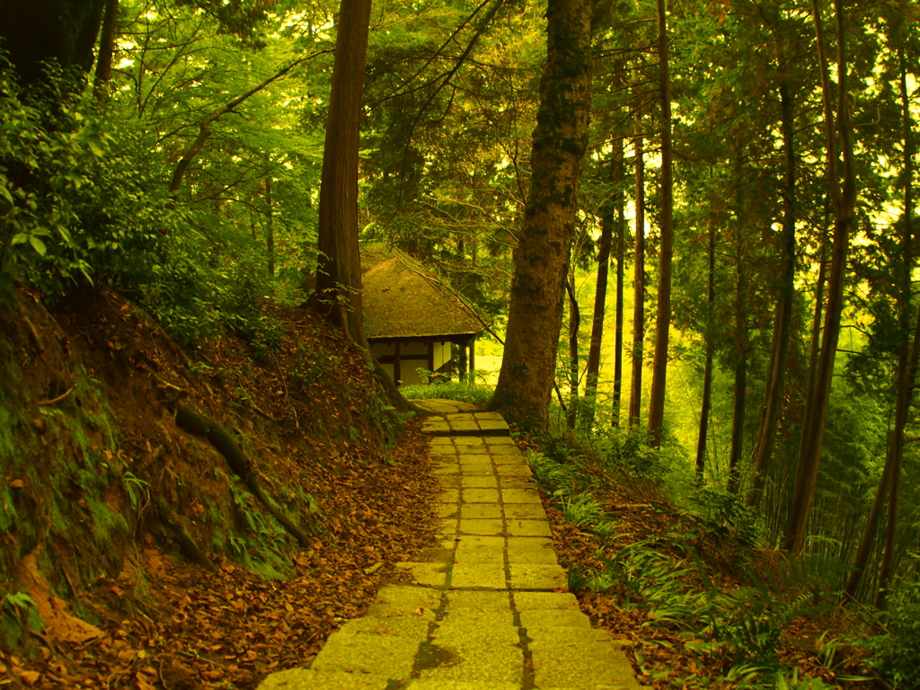 山道の秋